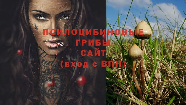 шишки Балахна