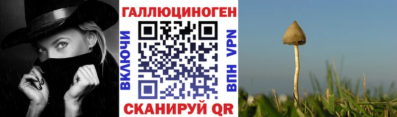 Псилоцибиновые грибы GOLDEN TEACHER  Верхнеуральск 